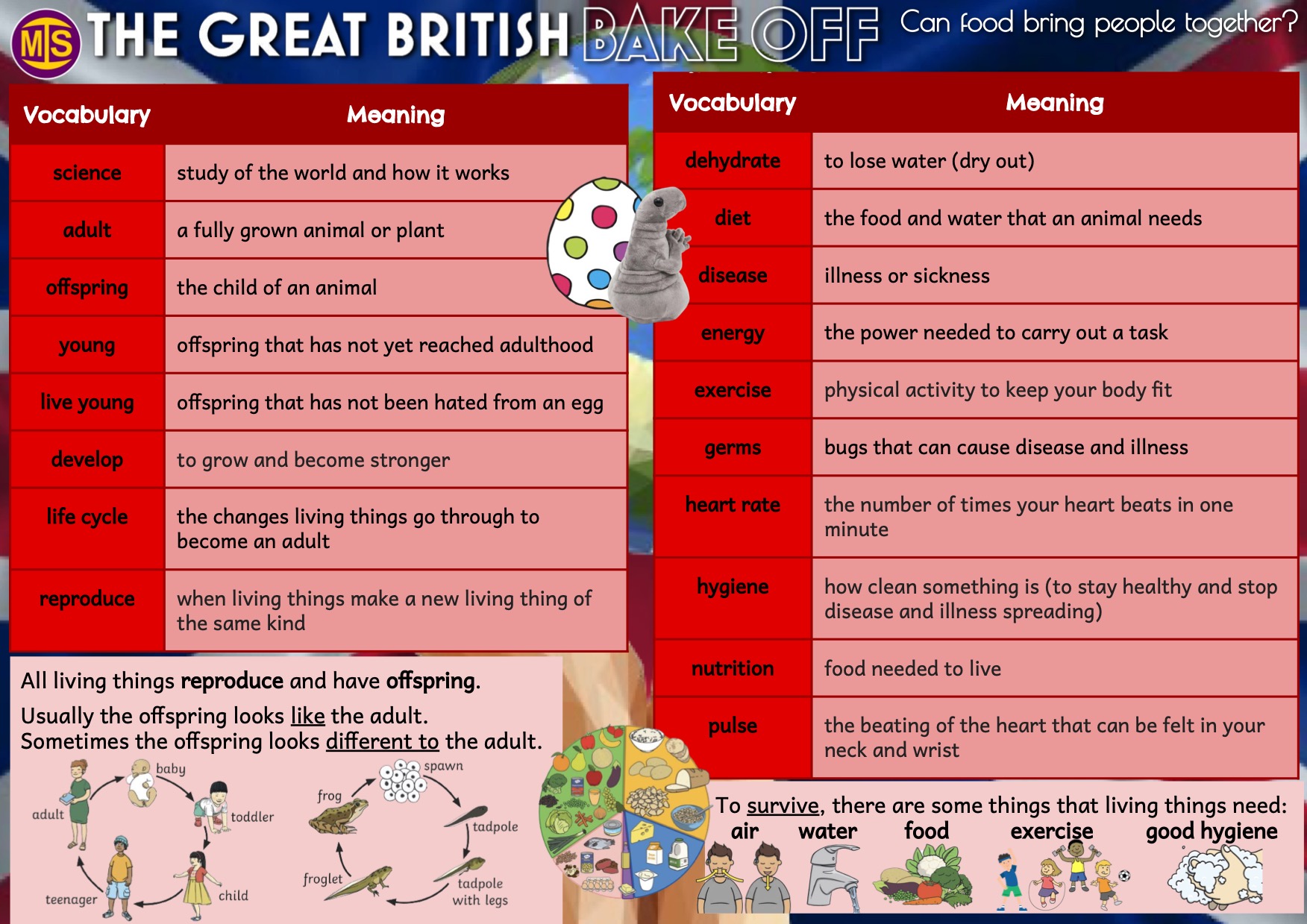 Great British Bake Off Knowledge Organiser MIS